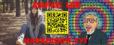 мдпв Кандалакша