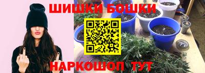 гидропоника Лесосибирск