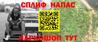 мдпв Кандалакша