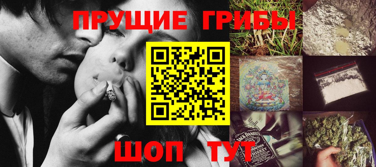 Псилоцибиновые грибы Psilocybe Верхний Уфалей