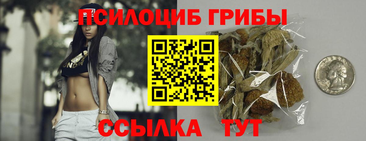 Псилоцибиновые грибы Psilocybine cubensis  Вход с VPN  где найти   Верхний Уфалей 